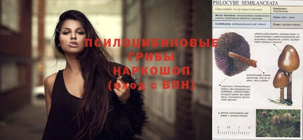 соль курить ск Бородино