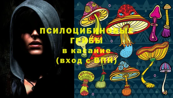 соль курить ск Бородино