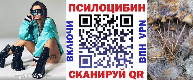 OMG ссылка Волгодонск Галлюциногенные грибы Psilocybine cubensis закладка